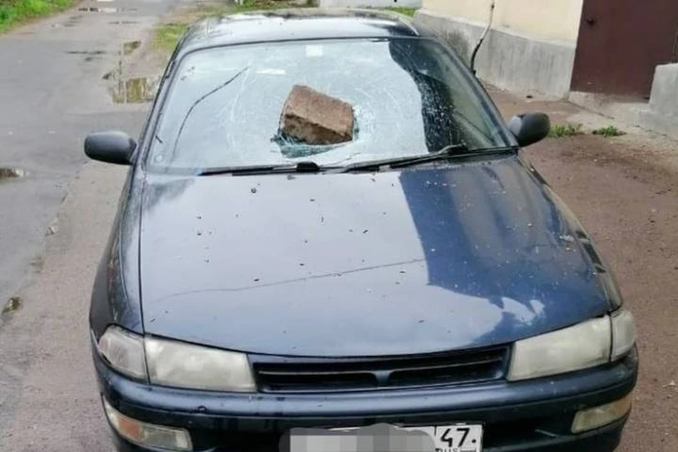 Пьяный мужчина в шортах кирпичом разбил стекло Toyota Carina в Ленобласти / Фото: Росгвардия