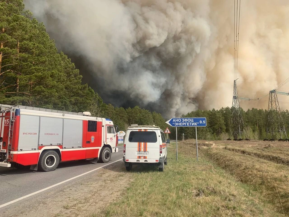 Лесной пожар в районе Криводаново