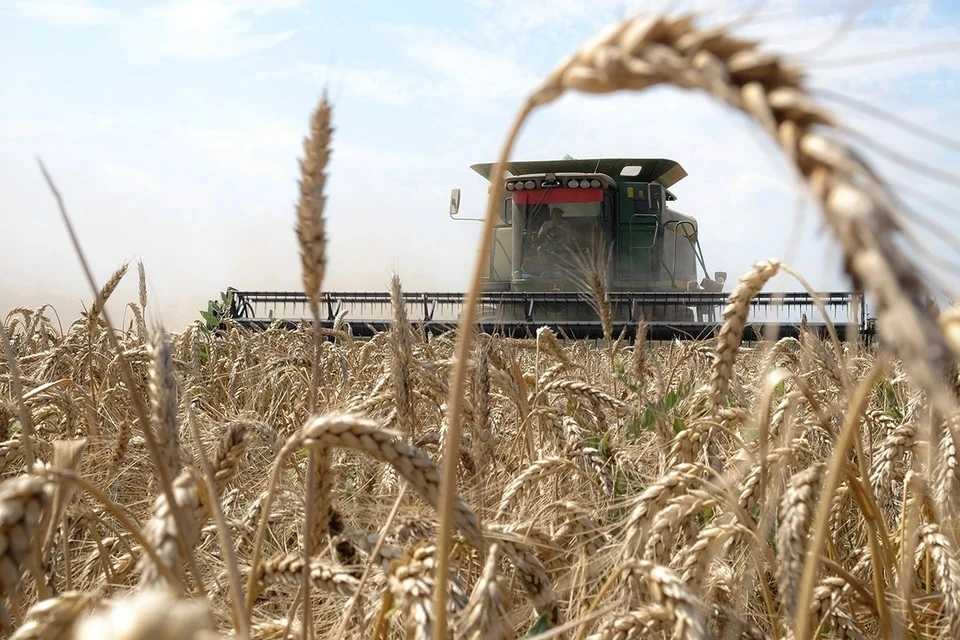 Мировые цены на пшеницу уже взлетели