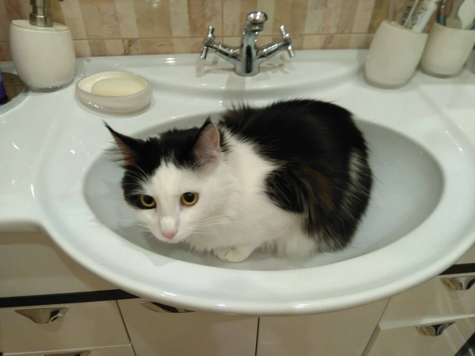 А вода только холодная.
