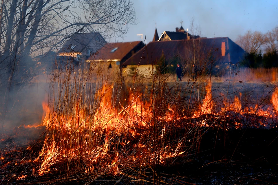 По статистике, причиной лесных пожаров очень часто становятся возгорания, произошедшие в границах населенных пунктов.