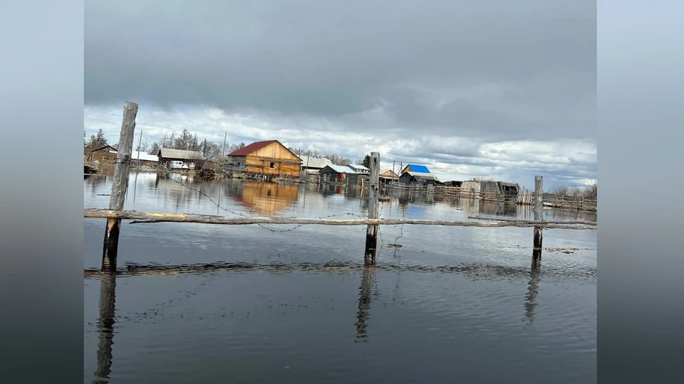 Фото: Соцсети