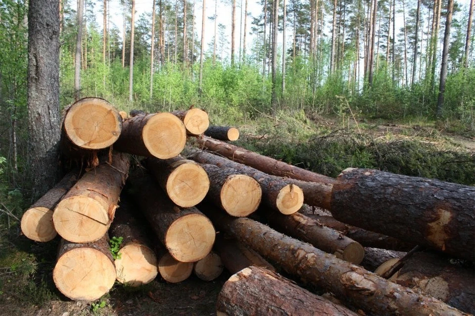 Ущерб составил более 120 тысяч рублей.