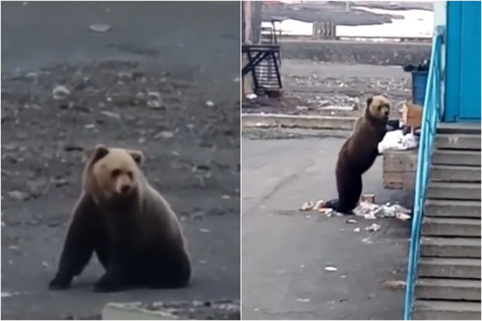 Фото: Это Норильск, детка!