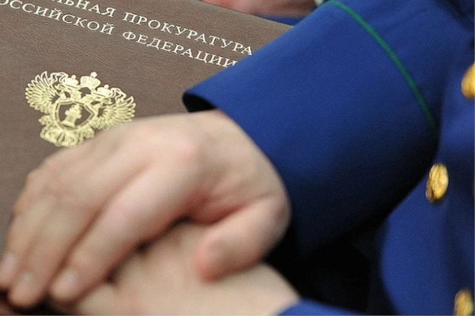 Обвинительное заключение утверждено прокуратурой.