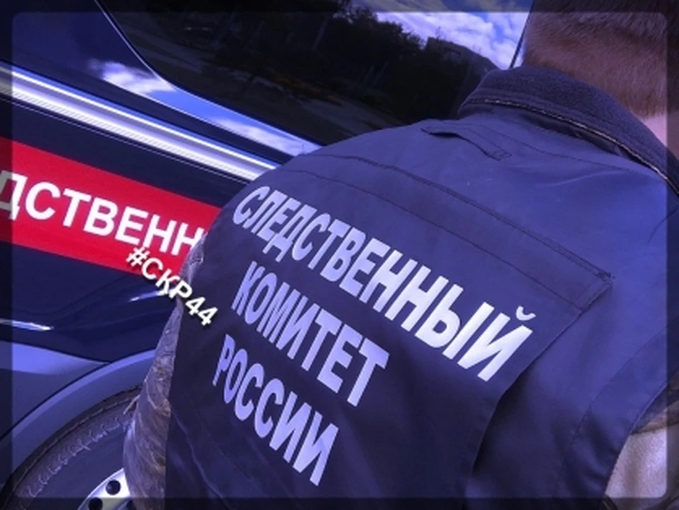 Фото: пресс-служба СУ СК России по Костромской области