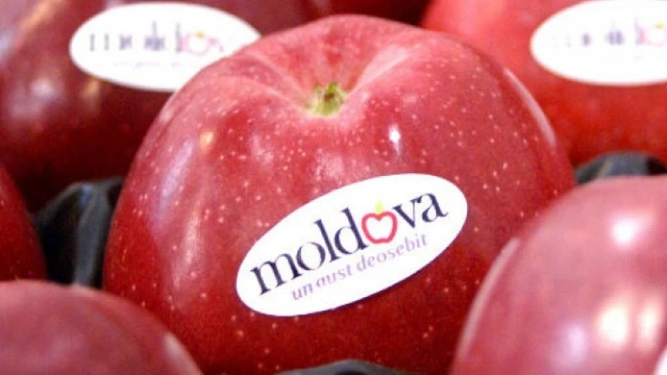 Яблоки, предназначенные на экспорт, теперь доступны отечественному покупателю (Фото: www.rfi.ro).