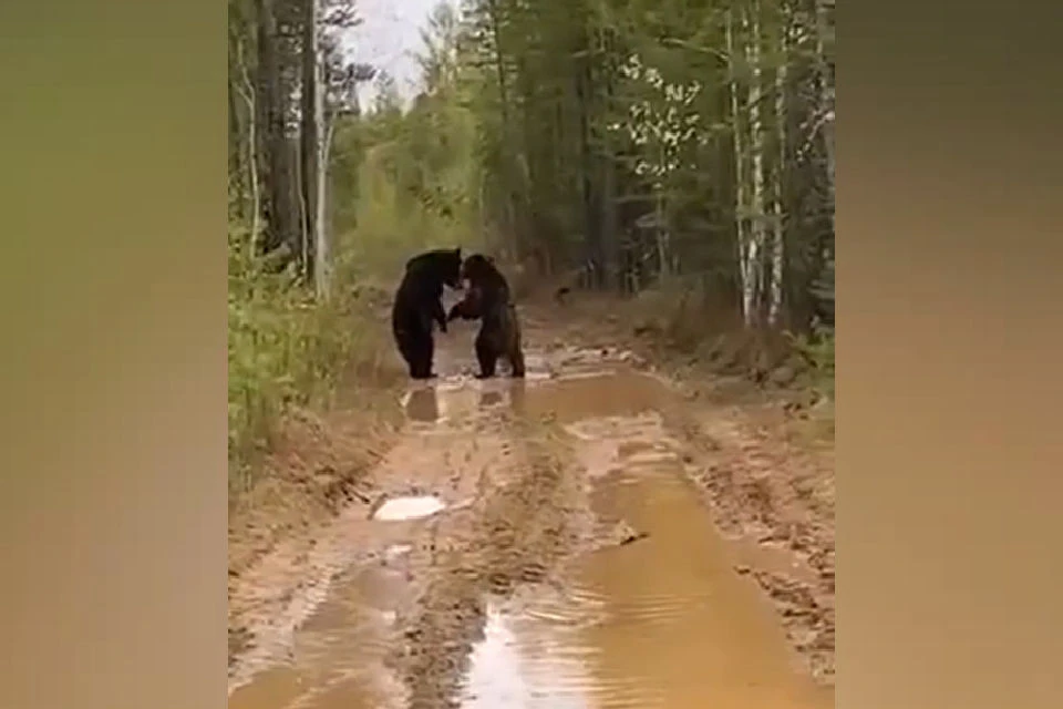 Ролик был снят в Якутии. Фото: скрин видео