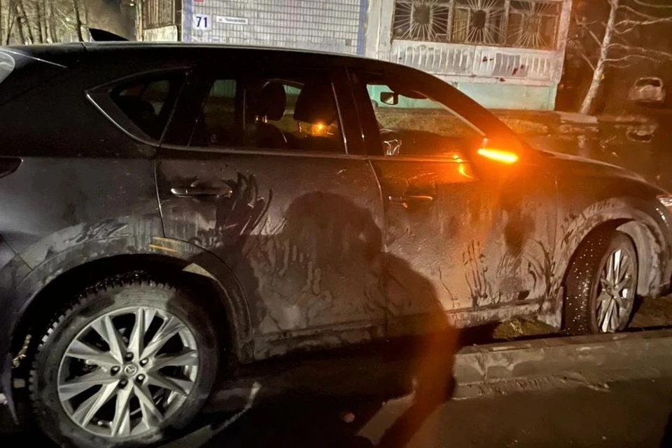 Во время предварительного следствия мужчина признал вину
