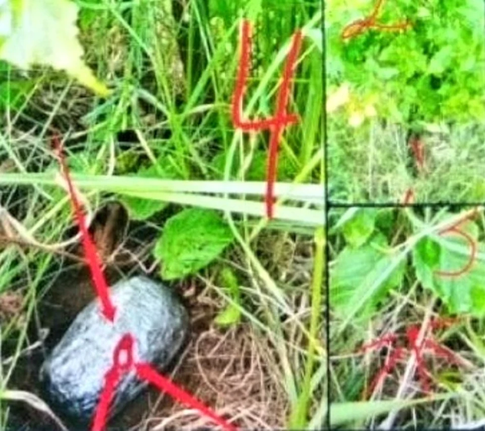 Наркотики распространяли через тайники-закладки