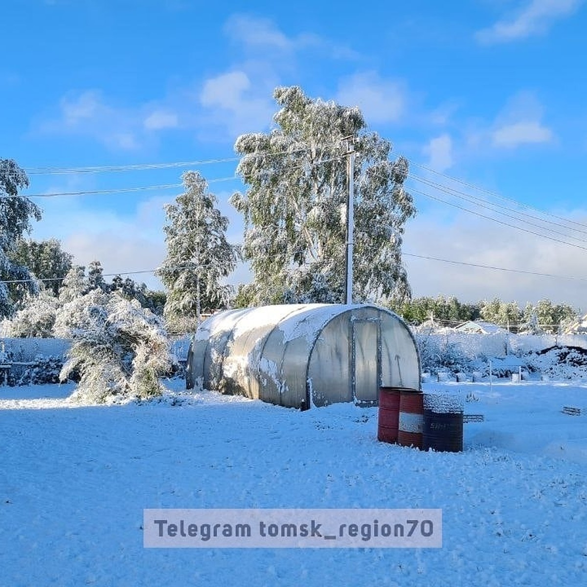 Погода сошла с ума»: жители Томской области делятся фотографиями выпавшего  снега - KP.RU