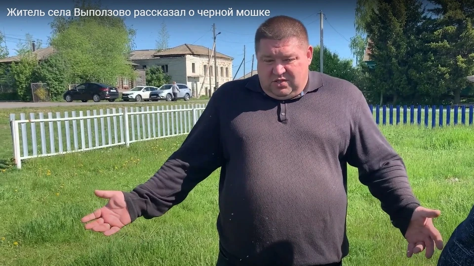 Впервые за 30 лет в 2022 году в Ульяновской области борются с мошкой, и её стало меньше