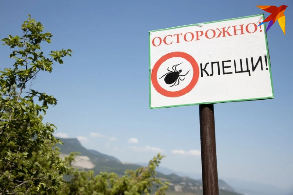 Все случаи присасывания клещей происходят в других регионах, куда северяне выезжают в отпуск.