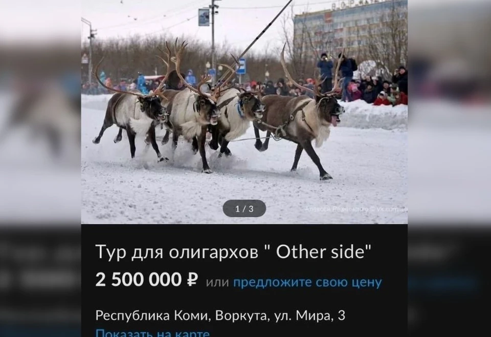 Фото: соцсети