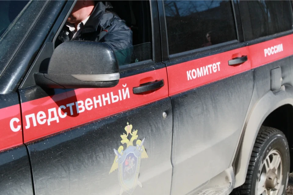 Порывистый ветер поднял аттракцион в воздух на четырехметровую высоту, с него упали дети