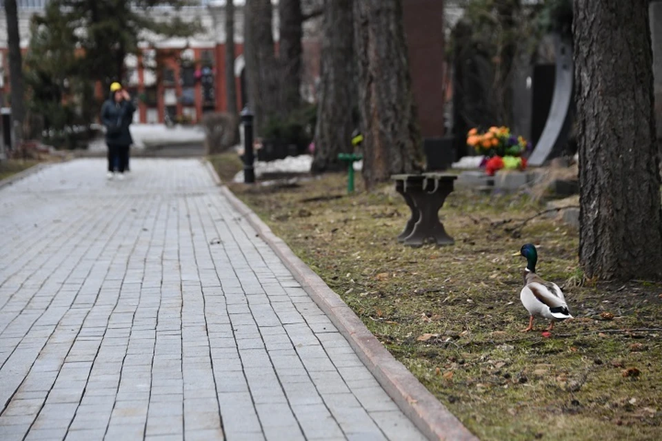 В Комсомольске открыли городское кладбище
