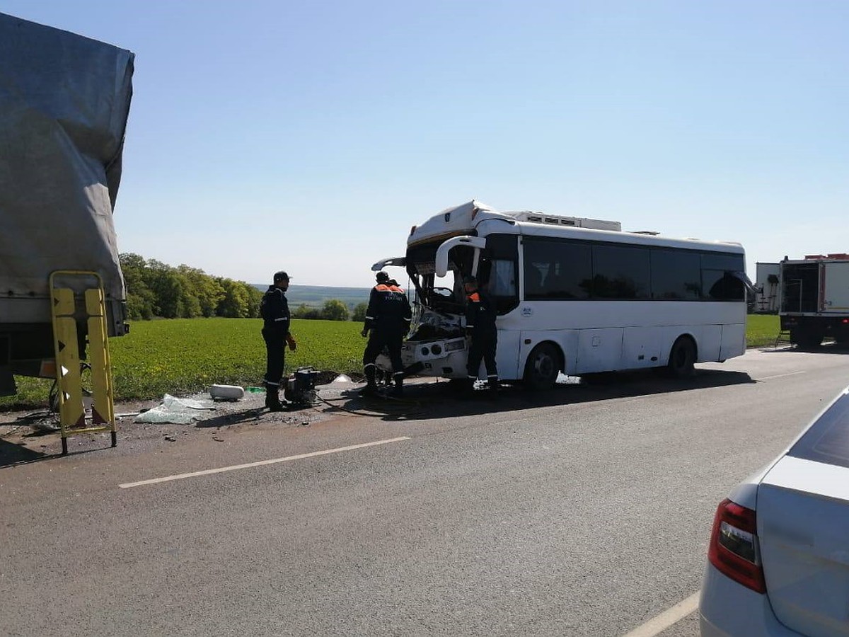 В Ростовской области автобус с пассажирами врезался в грузовик - KP.RU