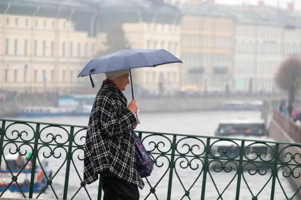 Купить спб дождь