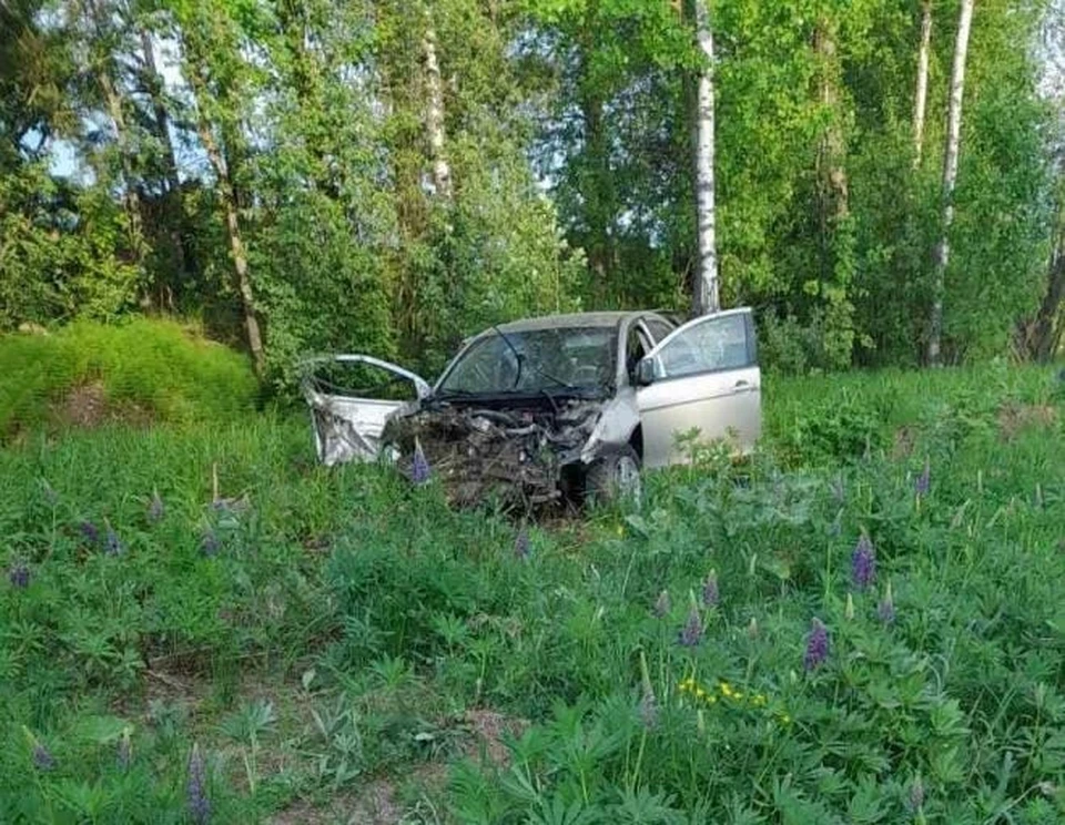 В результате ДТП погиб пассажир иномарки. Фото: УГИБДД ГУ МВД России по Нижегородской области.
