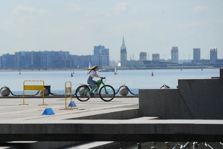 Вдоль залива с ветерком: Ленобласть развивает мегасеть велодорожек