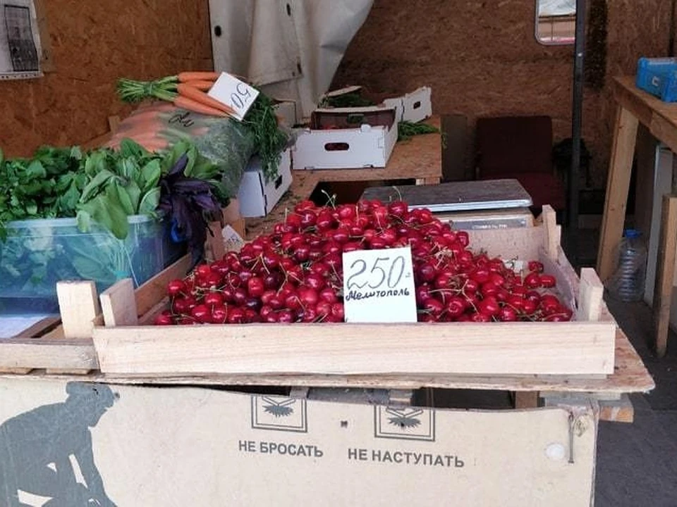 Фото: Надежда ДАЦЮК