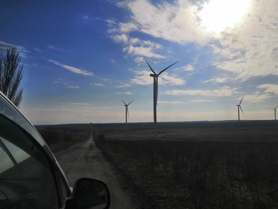 Ветропарк ульяновск фото