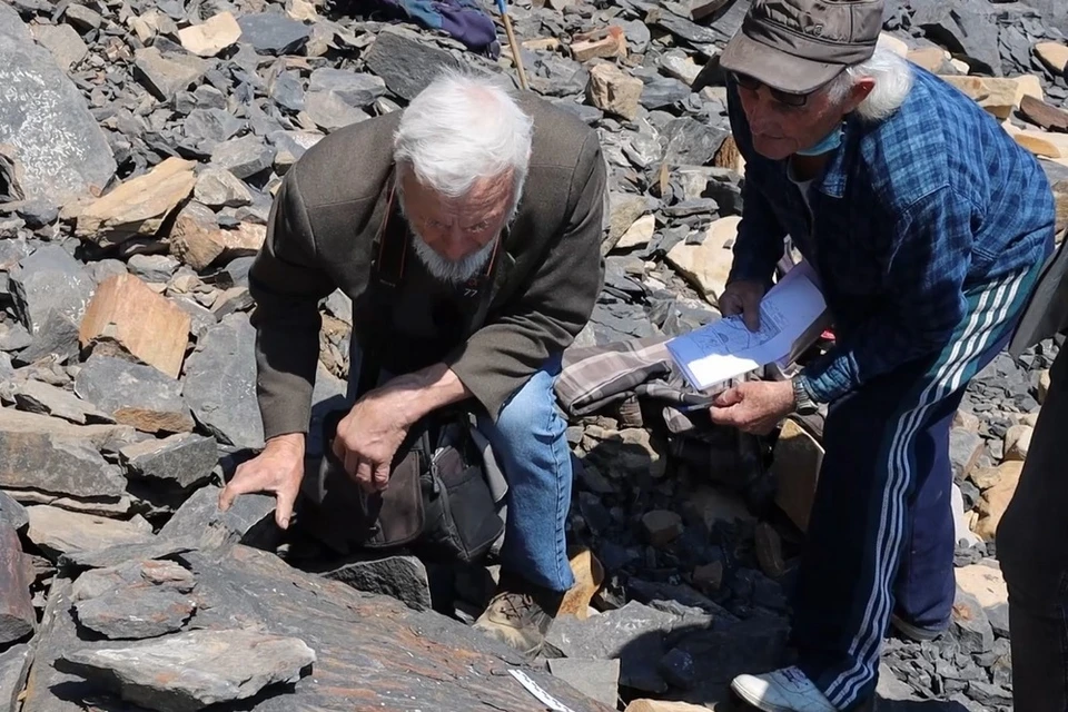 Палеонтологи продолжают работы на острове во Владивостоке, где нашли следы вымершего динозавра.
