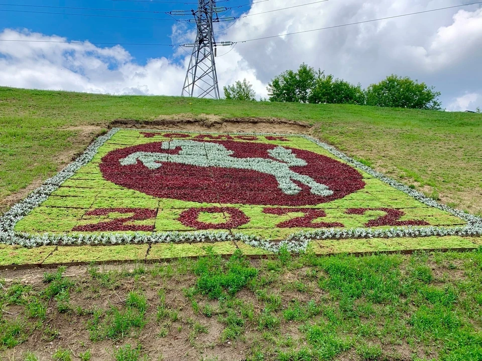 Томские урбанисты раскритиковали цветочный герб.