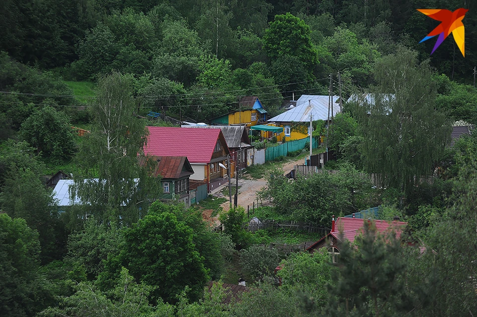 Северяне смогут узаконить построенные на землях лесного фонда дома