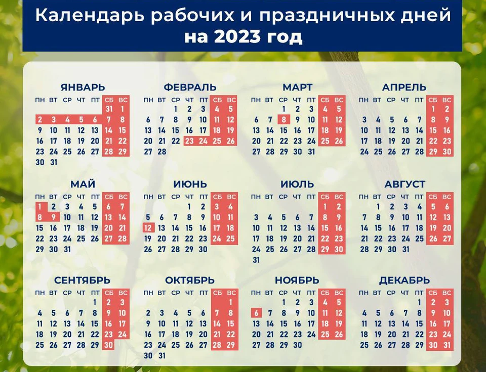 Календарь рабочих и праздничных дней в 2023 году. Фото: Минтруд РФ.
