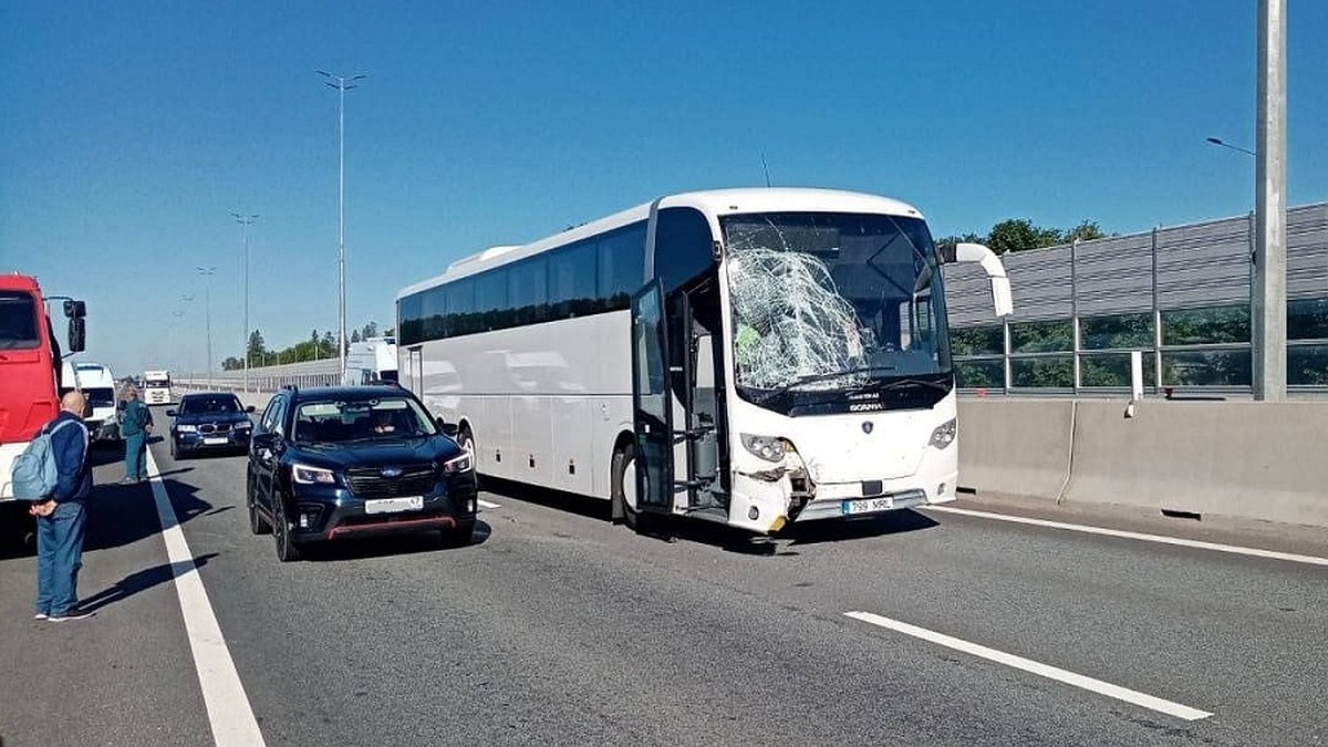 Два человека погибли и шесть пострадали в ДТП с автобусом Таллин-Петербург  в Ленобласти - KP.RU