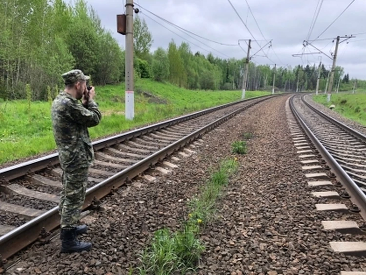 В Тамбовской области по дороге на выпускной под колесами поезда погибли двое подростков