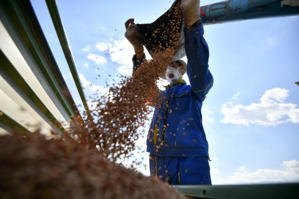 В Ростовской области продается колхоз за один миллиард рублей.