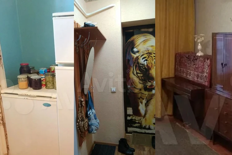 Банки с соленьями, пианино и тигр на двери: 6 дешевых квартир, которые можно арендовать Ижевске
