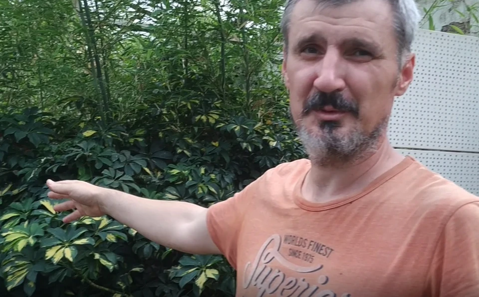 Сержиу Цуркану показал оранжерею в центре Кишинева. Фото: скриншот видео