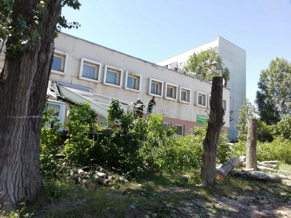 ФОТО: телеграм-канал Улдерево