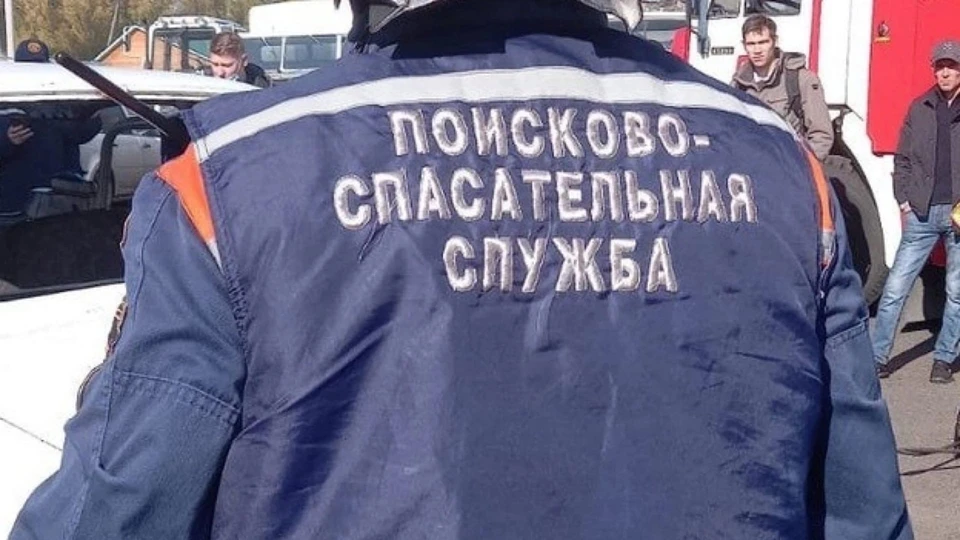 Сотрудники ПСС обратились с данными вопросами к врио губернатора Владимиру Мазуру на маленькую зарплату. Фото: telegram-канал ПСС.