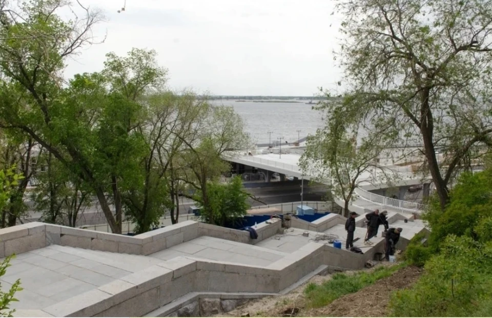 В Волгограде вдоль лестницы Ковентри высадят 1850 растений