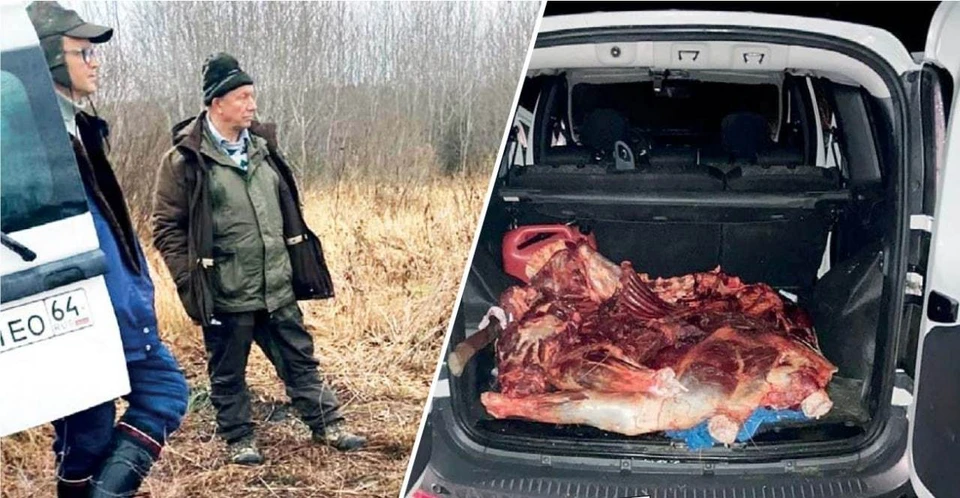 Задержание Рашкина