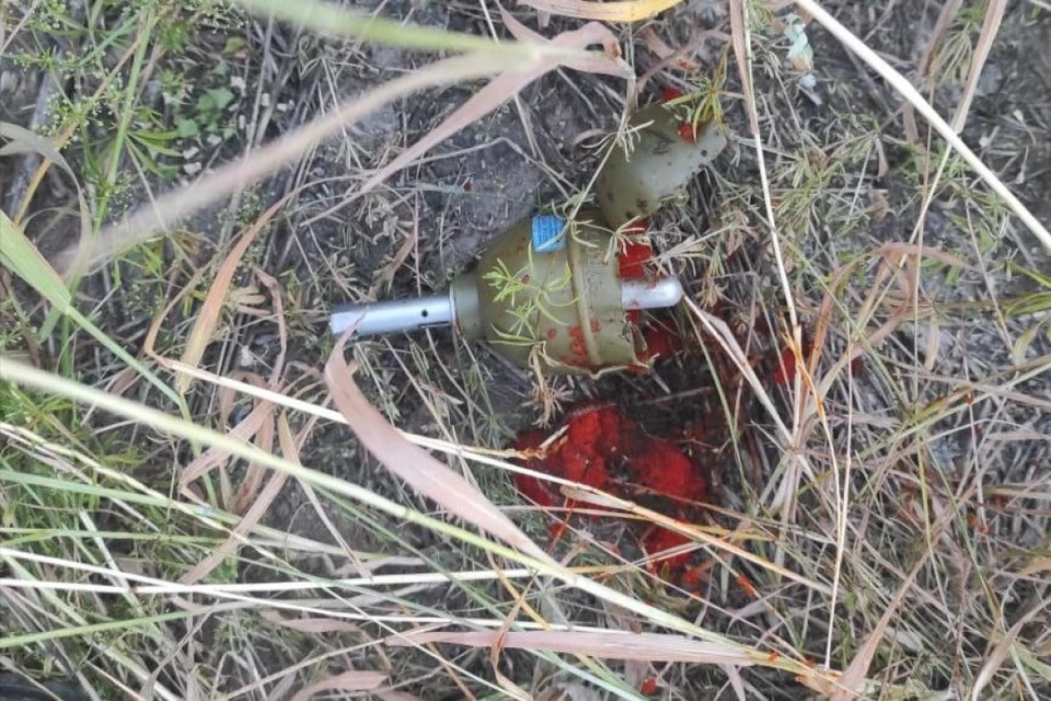 Сотрудники ОМОН ликвидировали три предмета, похожих на гранаты в Петербурге и Ленобласти ФОТО: ГУ Росгвардии по Петербургу и Ленобласти