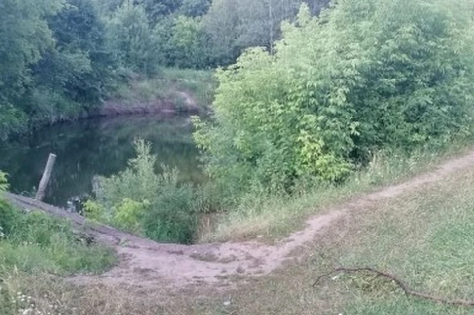 Ясная поляна зубово полянский. Река Парца в Мордовии. Парца (река). Реки Зубово Полянского района. Река Сивинь Мордовия.