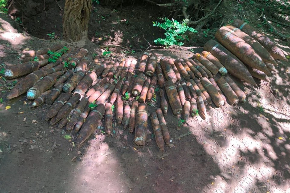Боеприпасы уничтожили с соблюдением требований безопасности Фото: пресс-служба ГУ Росгвардии по Краснодарскому краю