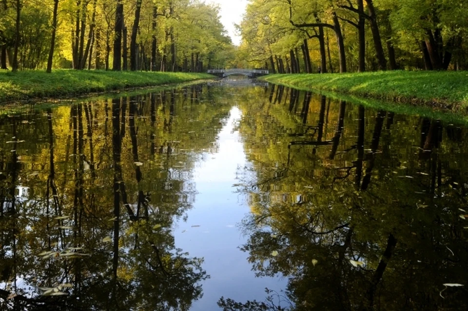 Самую загрязненную воду обнаружили в водоемах Ростова, Азова и Таганрога.