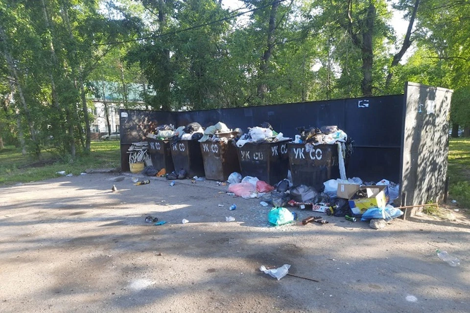 Городские службы помогут с уборкой мусора в Хабаровске