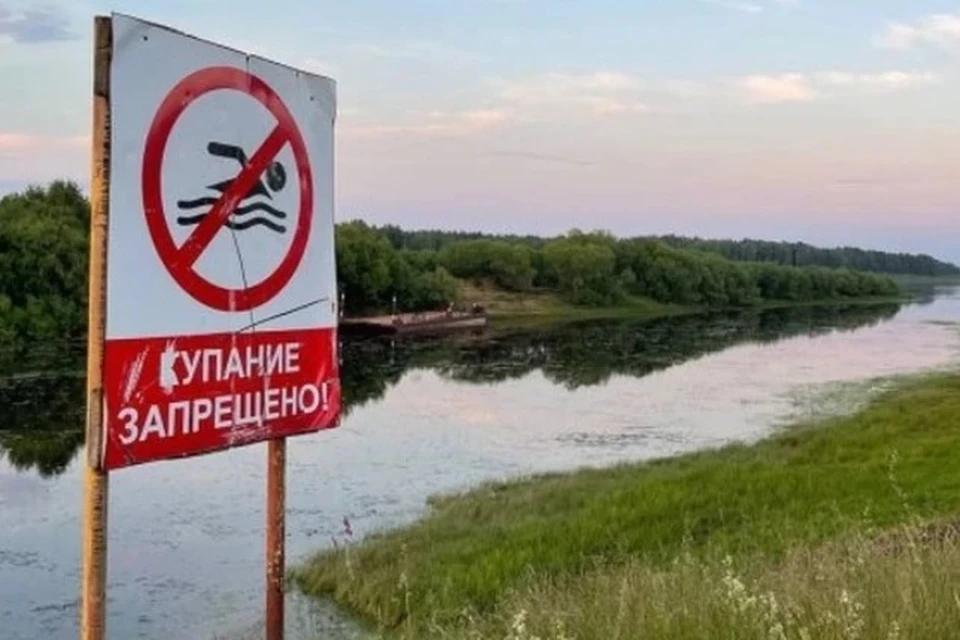 Фото: СУ СКР по Пермскому краю.