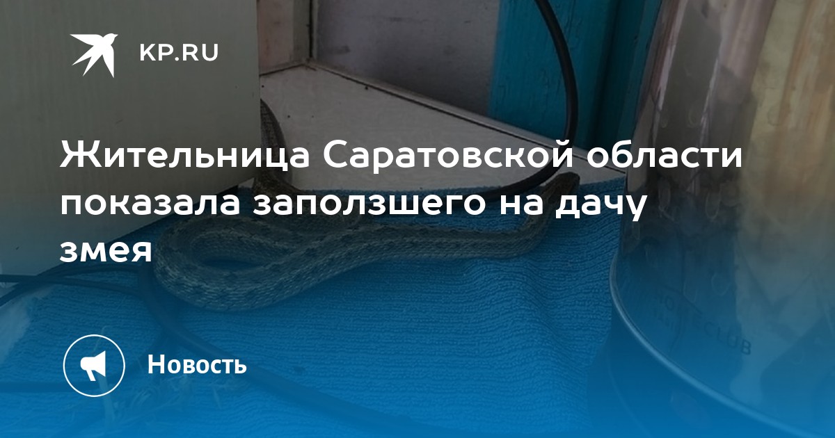 Змеи Саратовской Фото