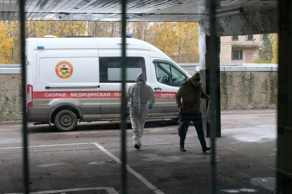 В Петербурге могут быть новые больные оспой обезьян, как считает Геннадий Онищенко.