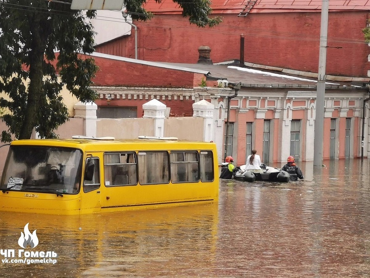 Фотофакт. В Гомеле потоп - людей из автобусов эвакуировали на лодках - KP.RU