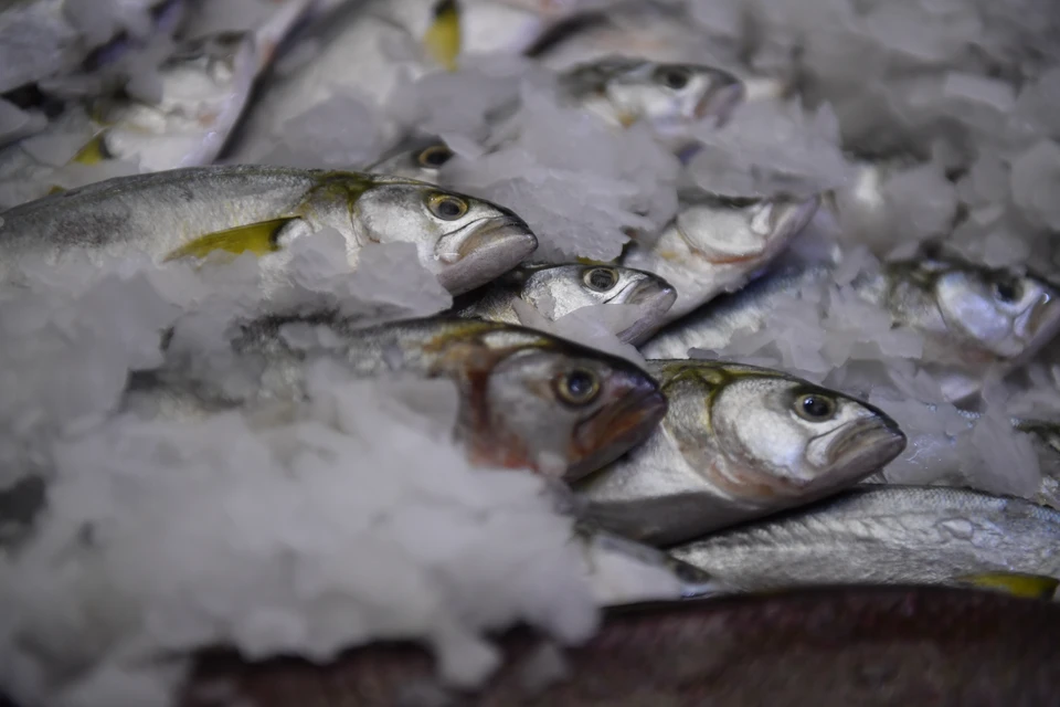 В Приморье в партии рыбы из КНР обнаружили превышение ртути.