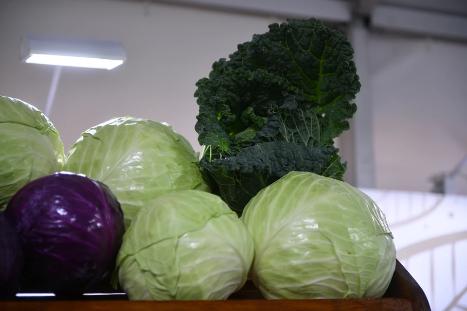 В Волгоградской области продукты стали дешевле